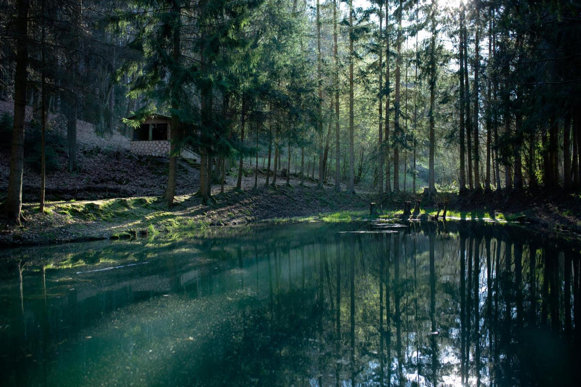 Fh "Baeren Ecke" Am See Im Hessischen Bergland Kirchheim  Exterior photo